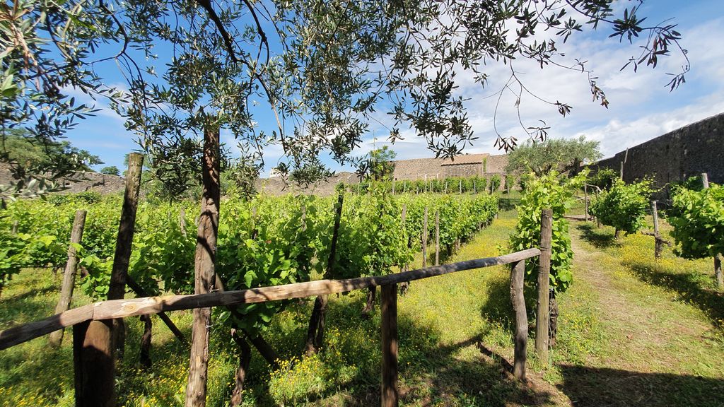 Pompei, parco archeologico