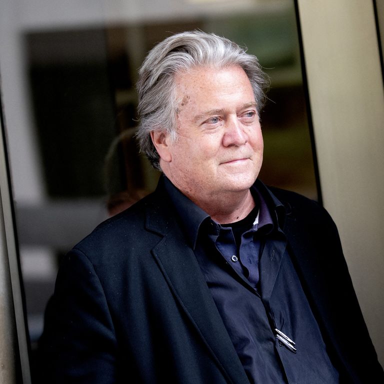 Steve Bannon&nbsp;