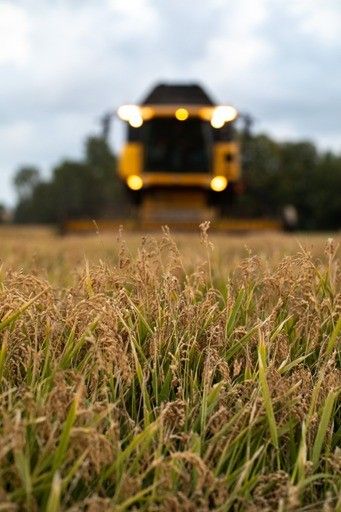 Mezzo agricolo al lavoro