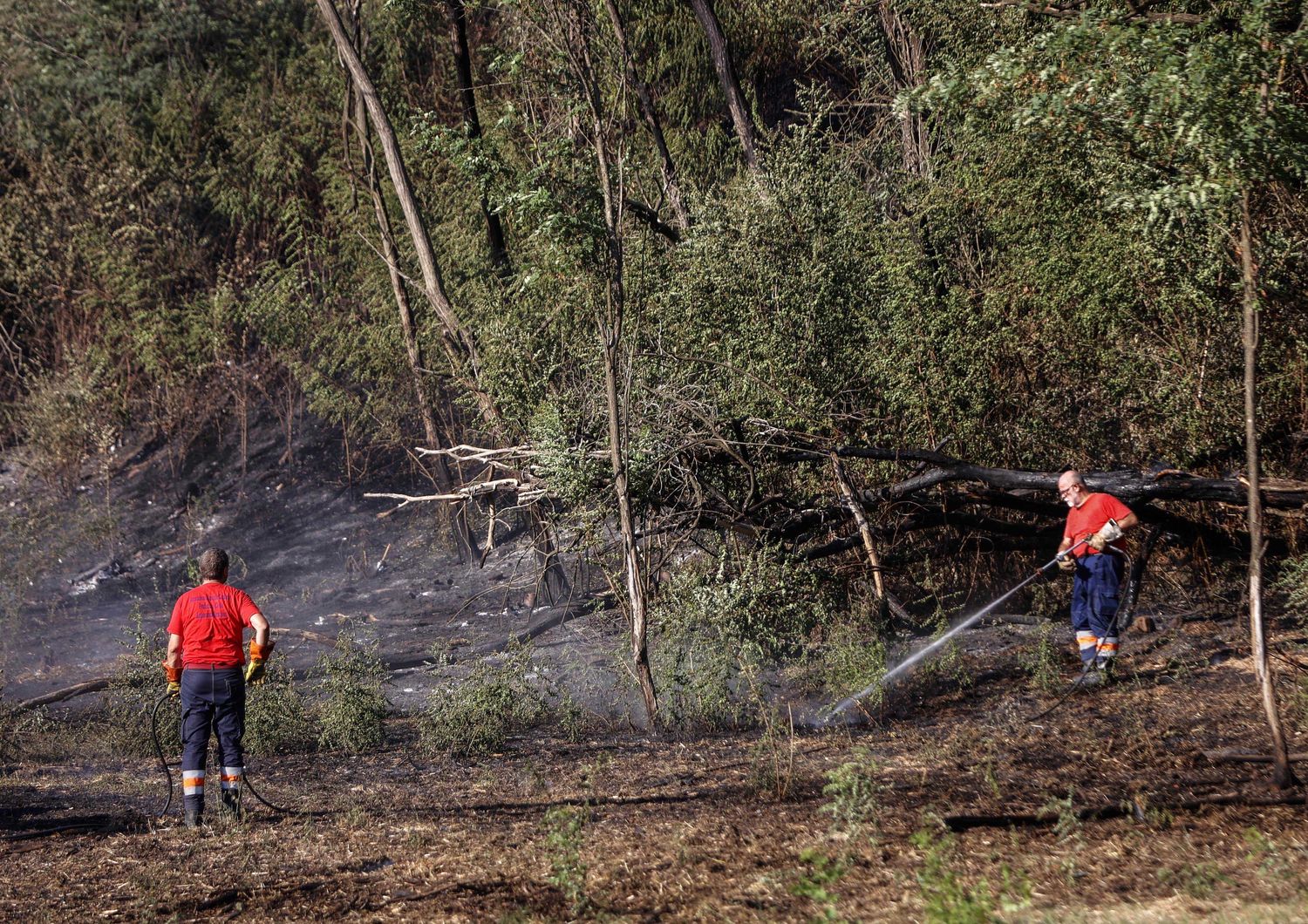 Volontari impegnati nello spegnimento di un incendio a Roma&nbsp;