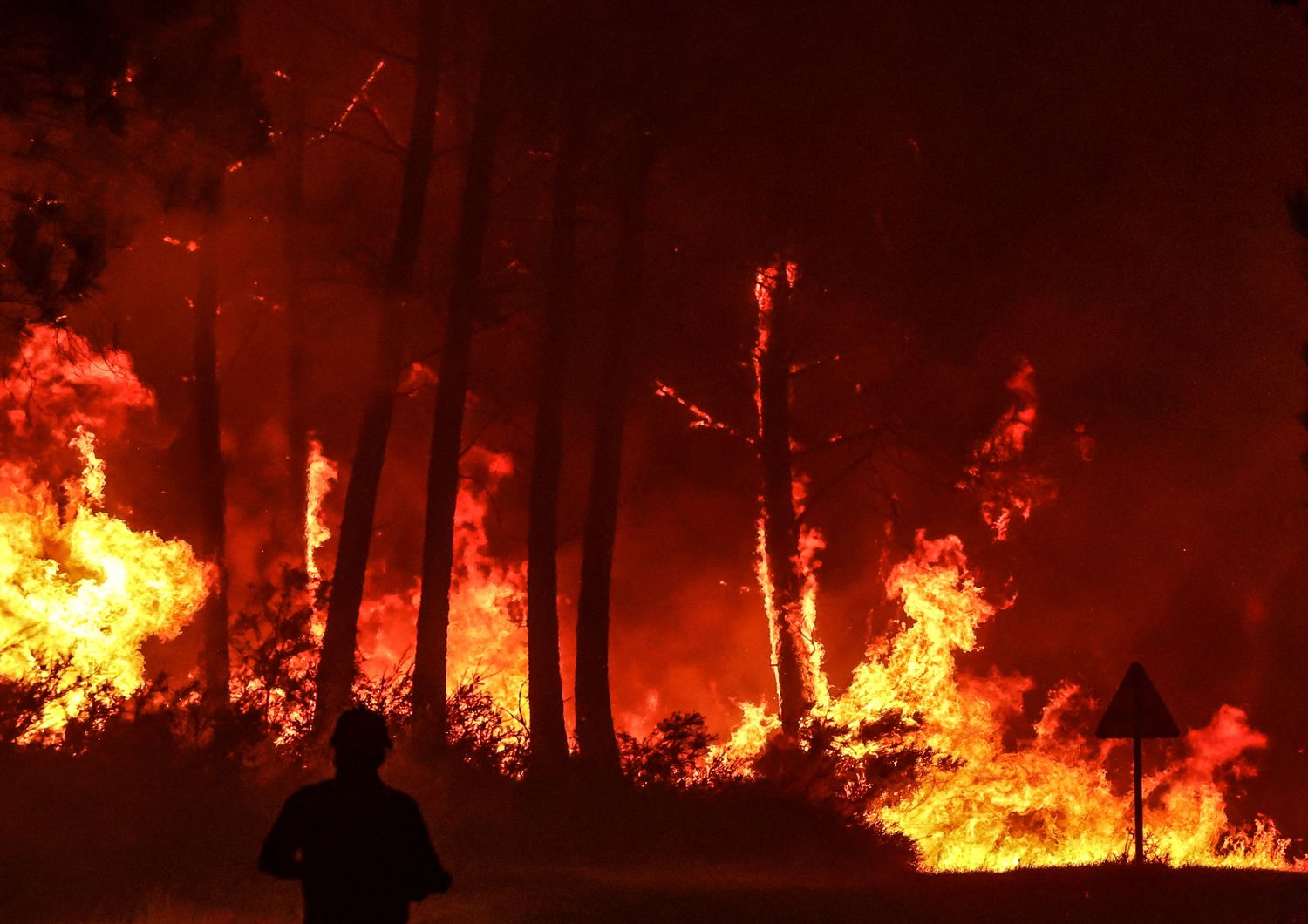 Incendi in Francia, foresta di Landiras