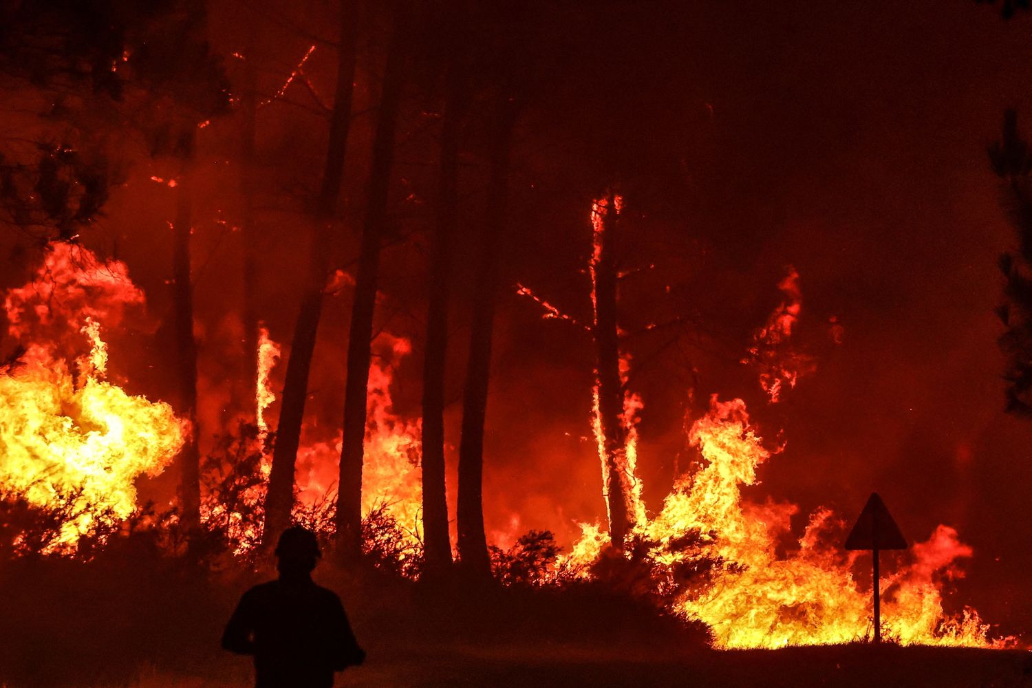 Incendi in Francia, foresta di Landiras