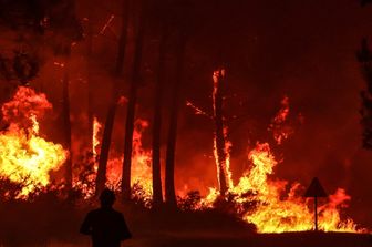 Incendi in Francia, foresta di Landiras
