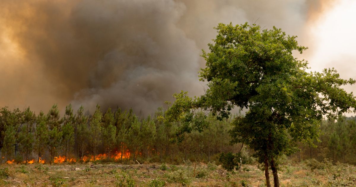 Incendio autostrada 