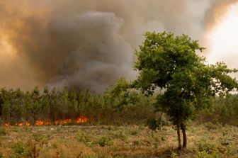 Francia, incendi, estate 2022