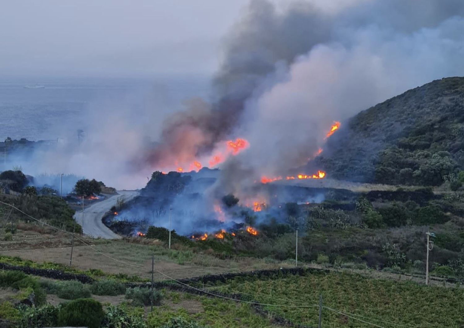 incendio pantelleria doloso
