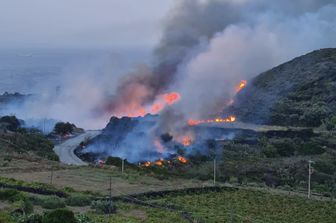 incendio pantelleria doloso