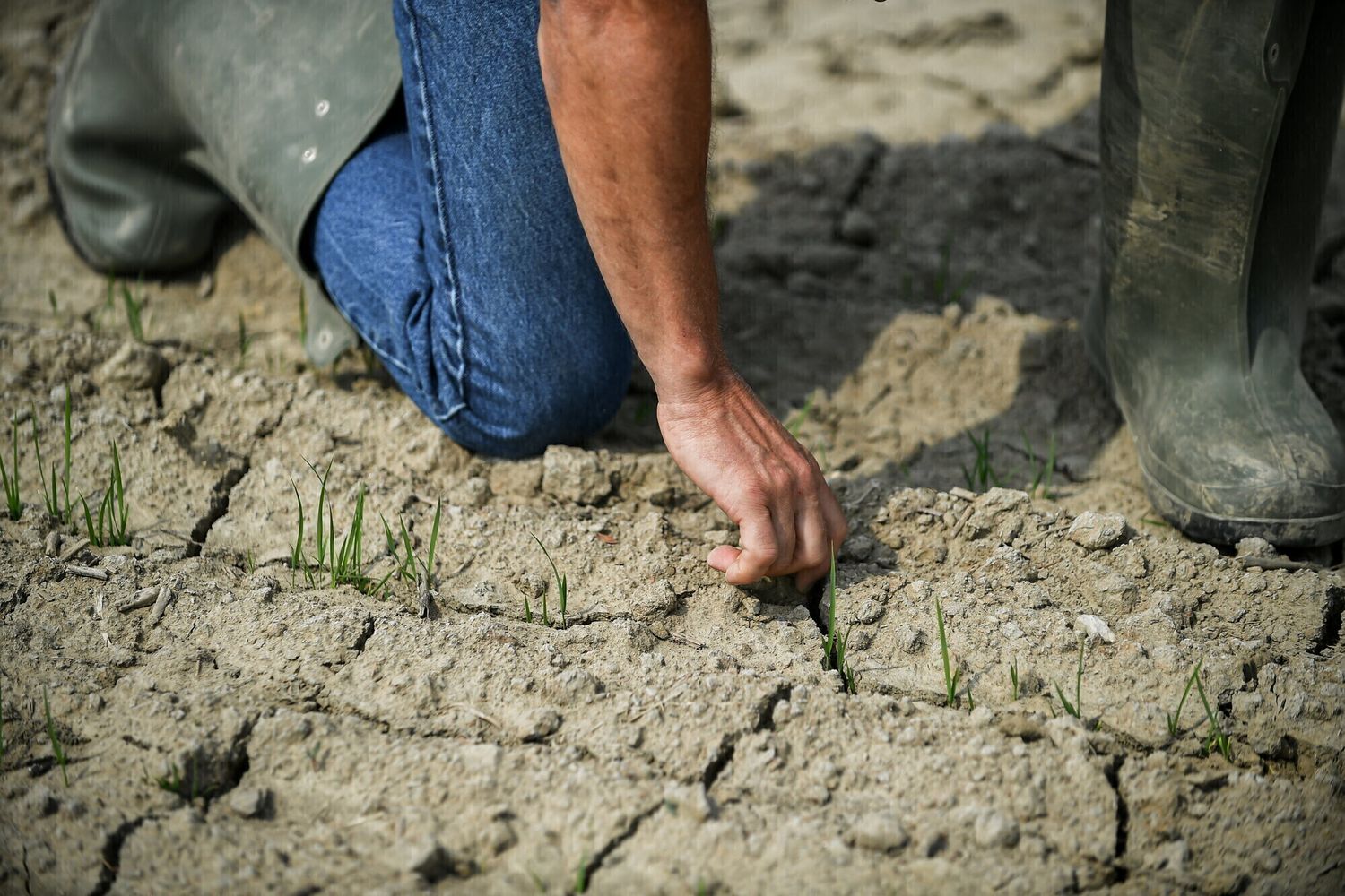 Agricoltura e siccit&agrave;