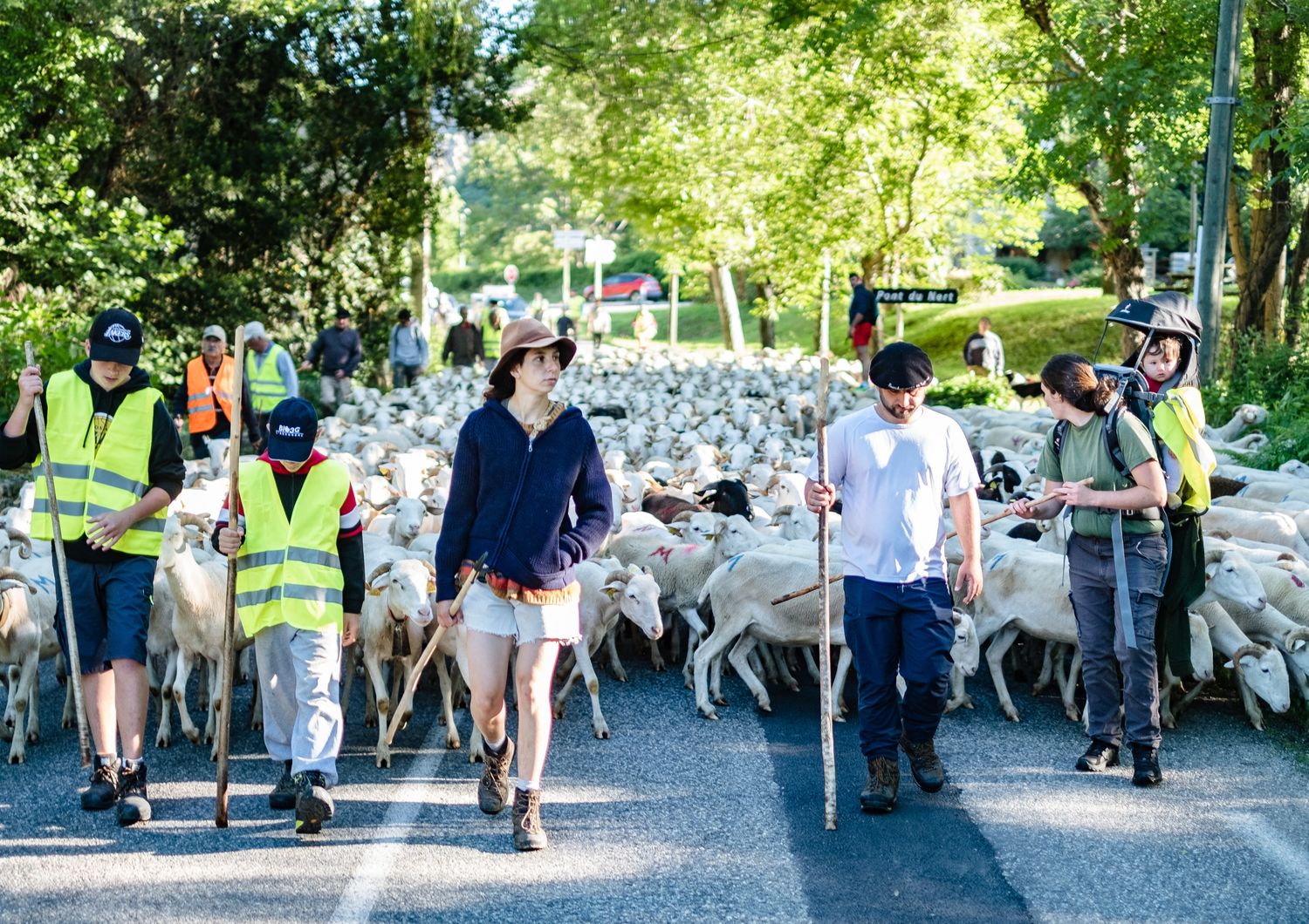 Gregge di pecore nella regione del Couserans in Francia&nbsp;