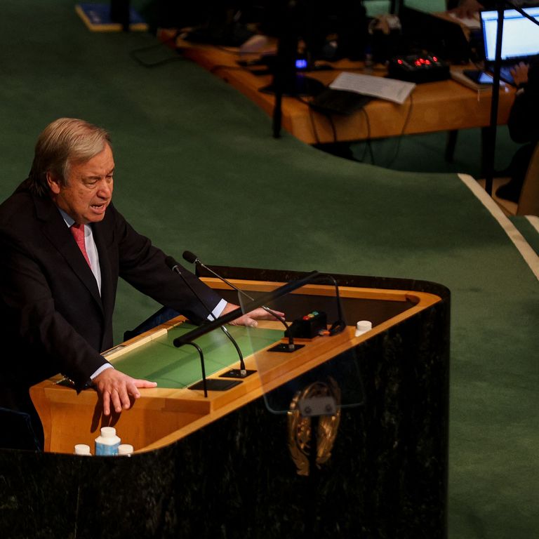 Guterres, Nazioni Unite