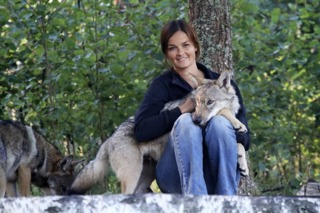 Christina Hansen Wheat con un cucciolo di lupo&nbsp;