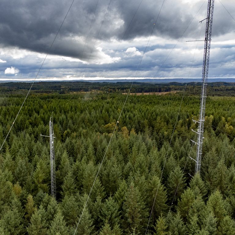 Stazione di ricerca ICOS a Hyltemossa nella foresta fuori Perstorp, in Svezia&nbsp;
