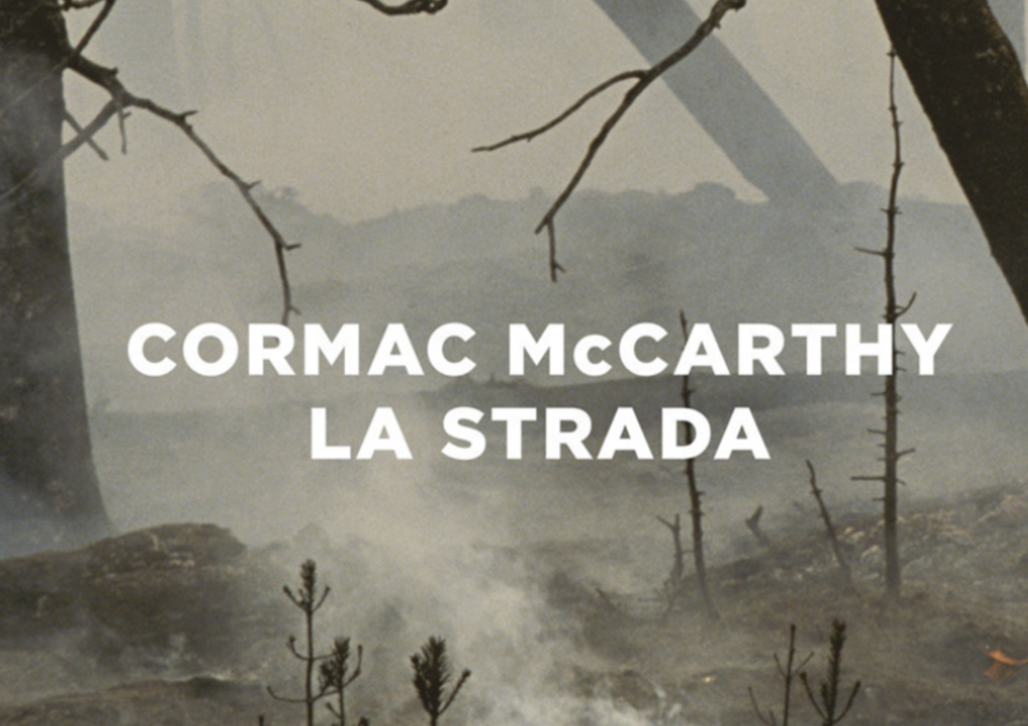 new york times interviste cormac Mccharty pulitzer