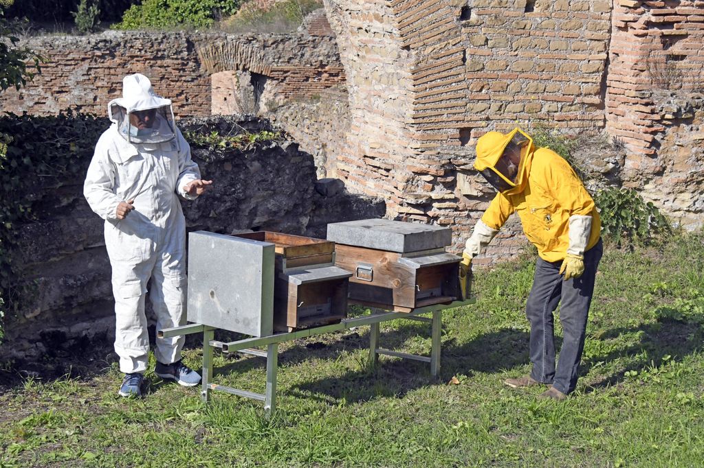 Apicoltori nel Parco del Palatino&nbsp;