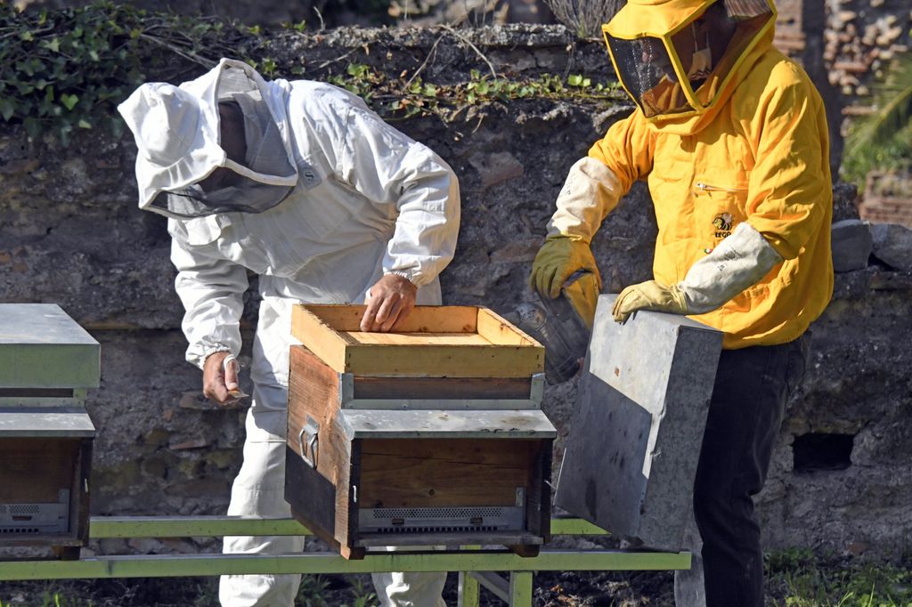 Apicoltori nel Parco del Palatino&nbsp;