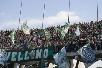 Tifosi dell'Avellino&nbsp;