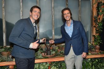 Mandragora in Harry Potter