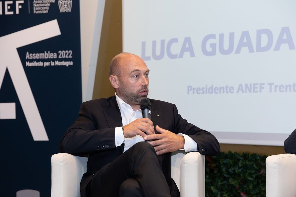 &nbsp;Luca Guadagnini, presidente Anef Trentino