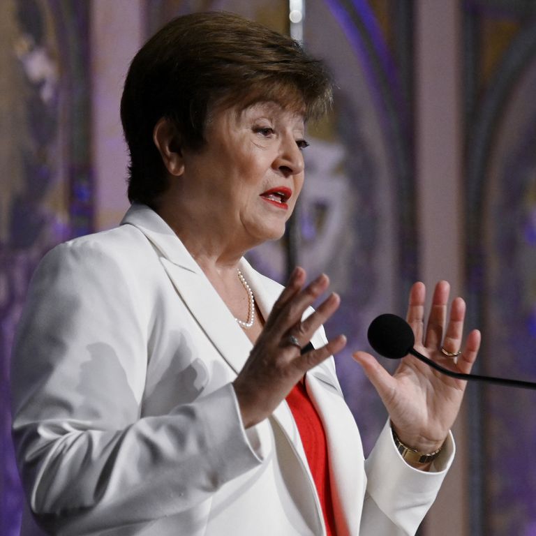 Kristalina Georgieva, Fmi