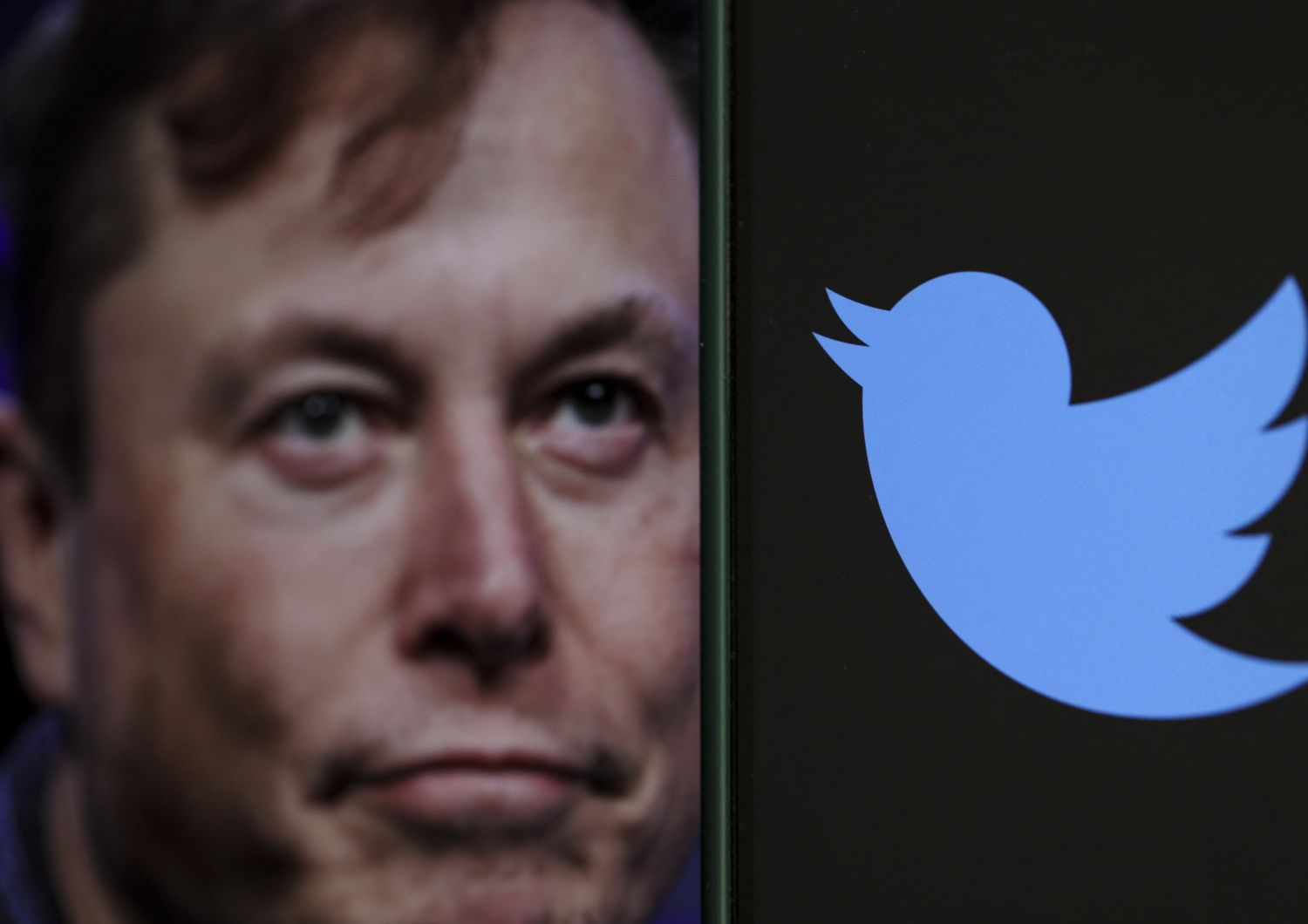 Elon Musk / Twitter&nbsp;