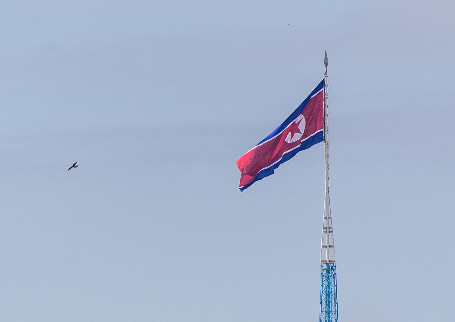 Nord Corea nave oltrepassa linea confine forze Seul sparano