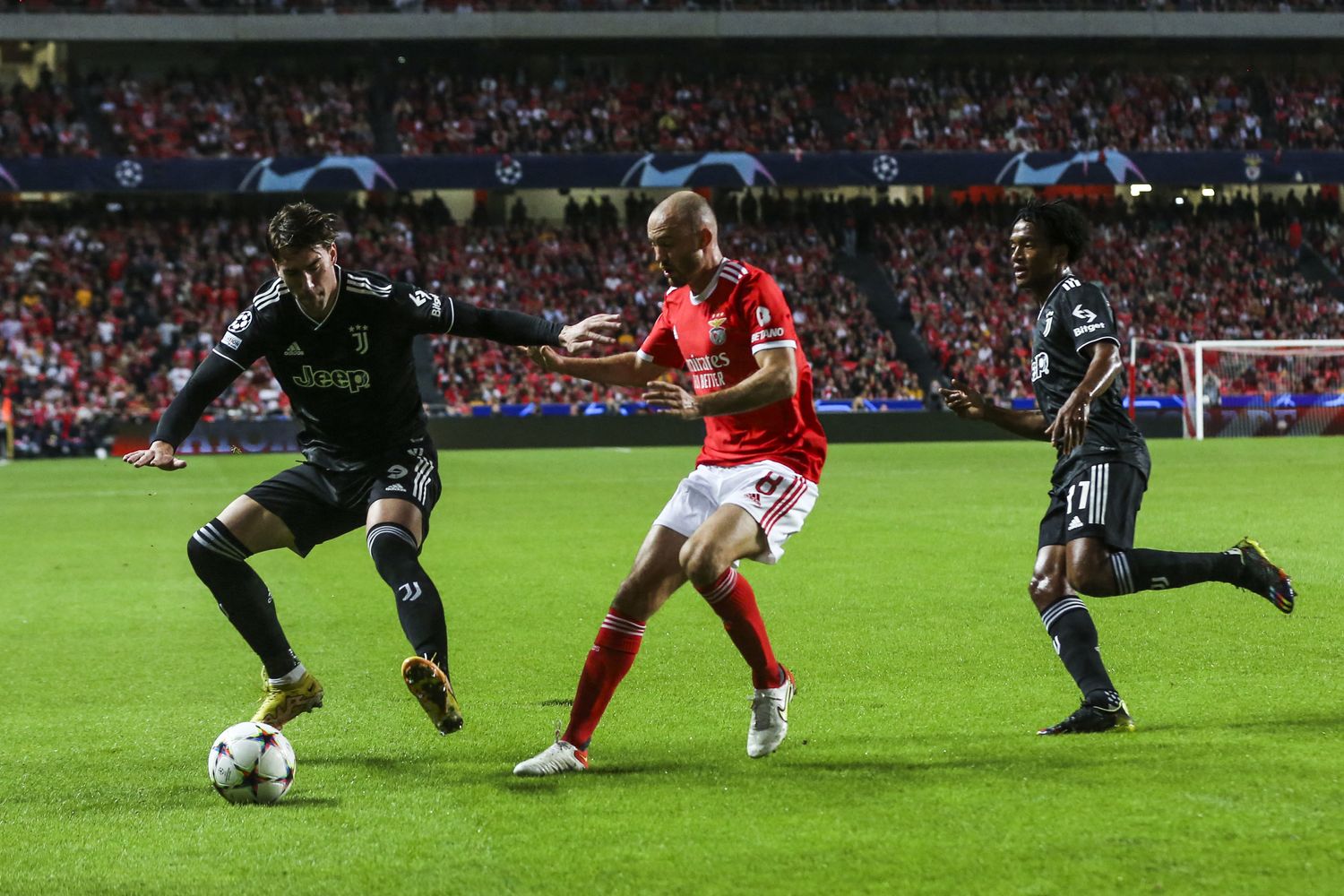 Dusan Vlahovic &nbsp;