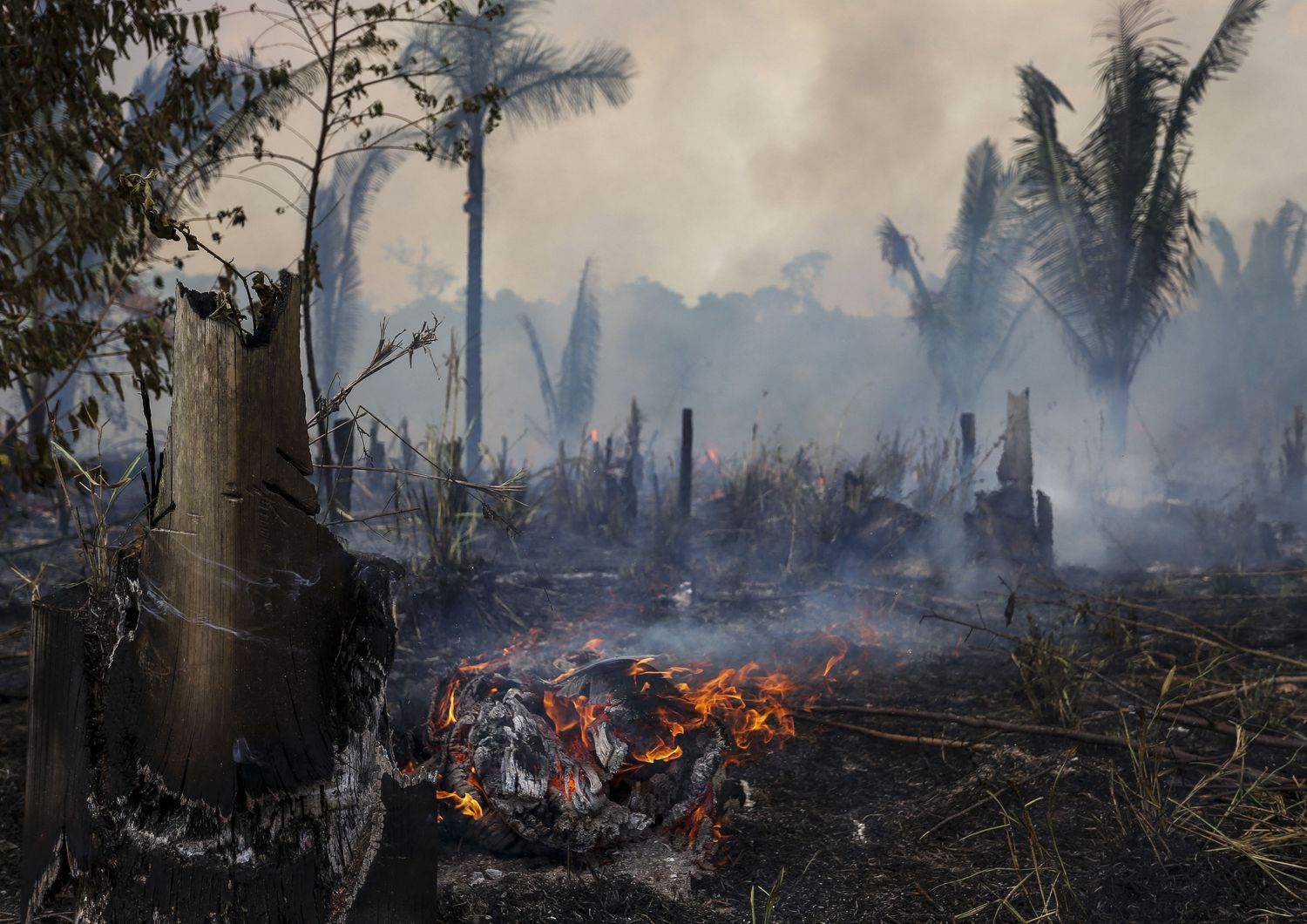 Brasile, incendi nella foresta amazzonica
