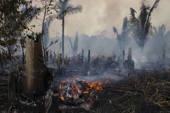 Brasile, incendi nella foresta amazzonica