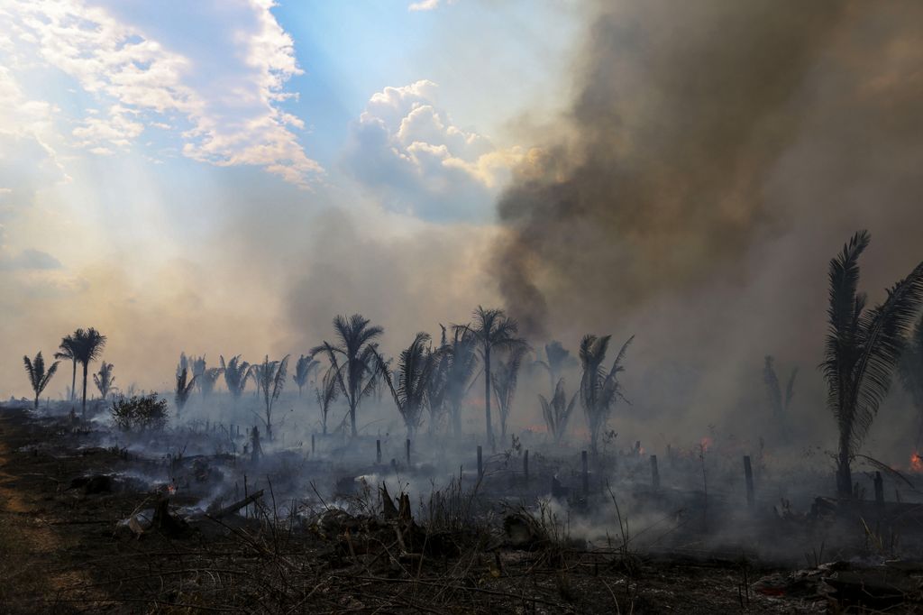 Brasile, incendi nella foresta amazzonica&nbsp;