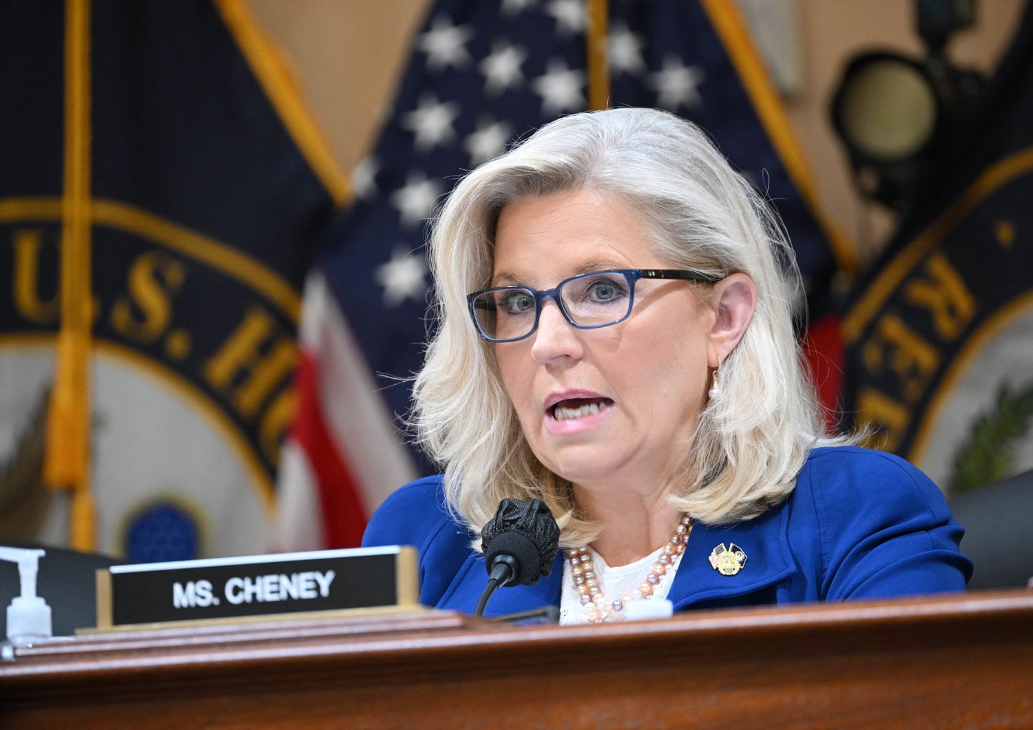 Liz Cheney &nbsp;