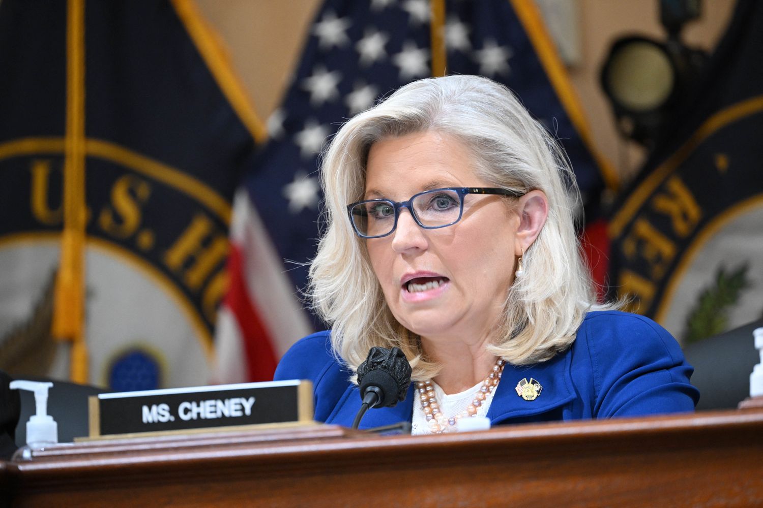 Liz Cheney &nbsp;