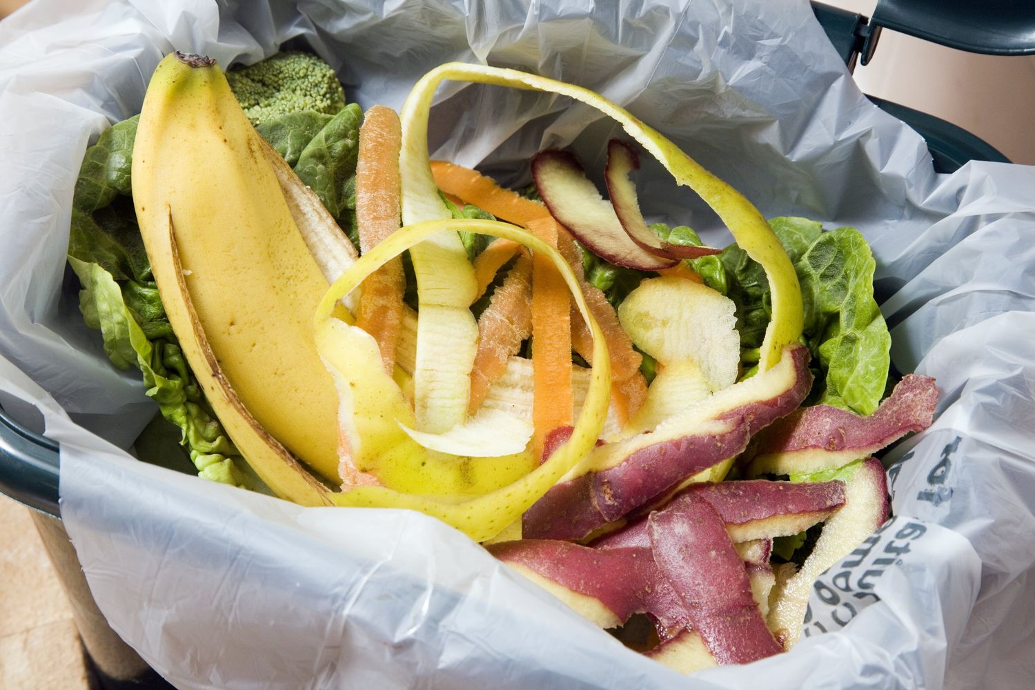 Umido per il compost