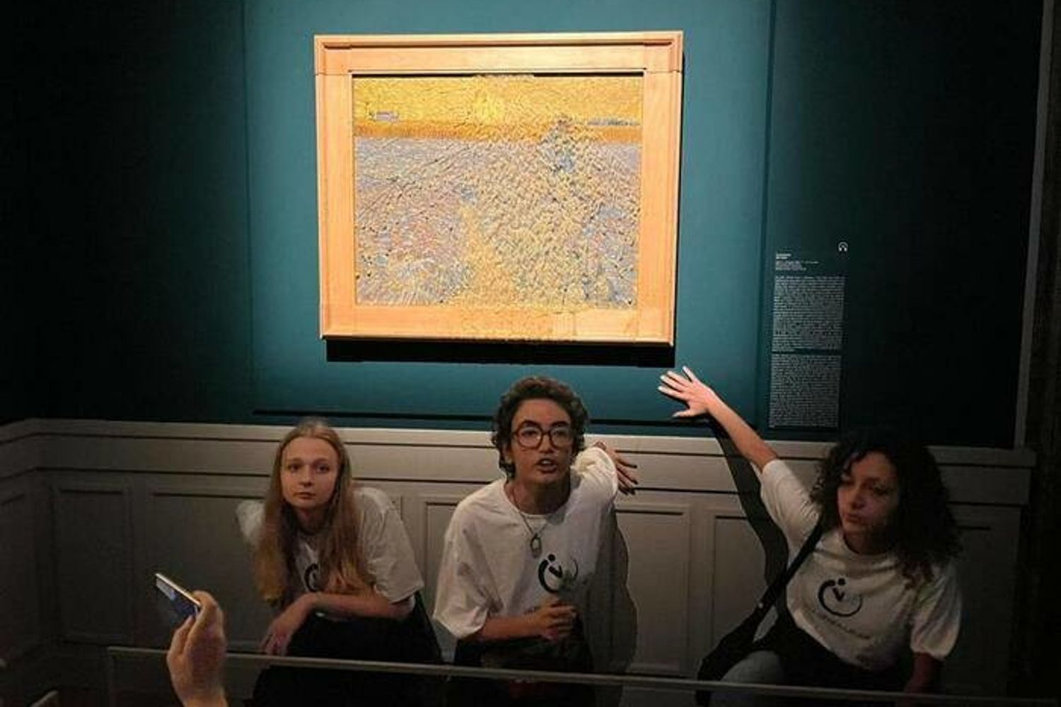 Ambientalisti imbrattano quadro Van Gogh