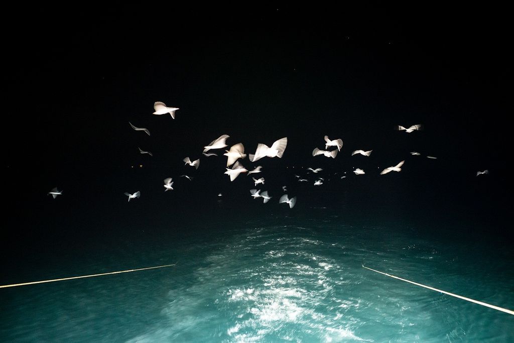 Elisabetta Zavoli&nbsp;