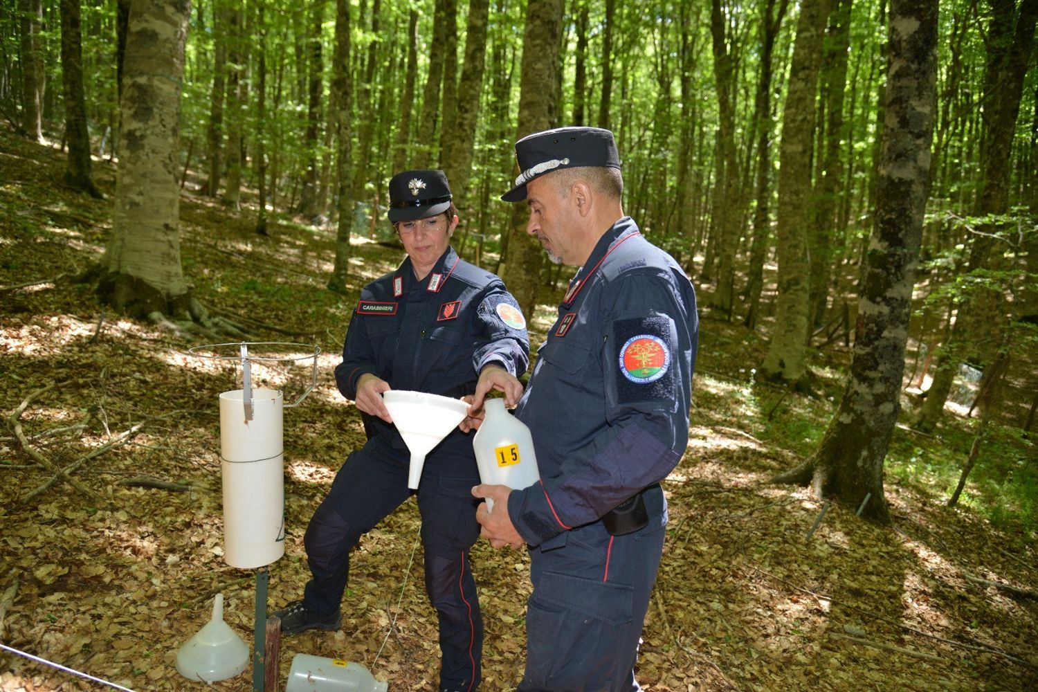 Carabinieri Forestali&nbsp;