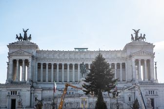 L'albero di Natale di Piazza Venezia&nbsp;