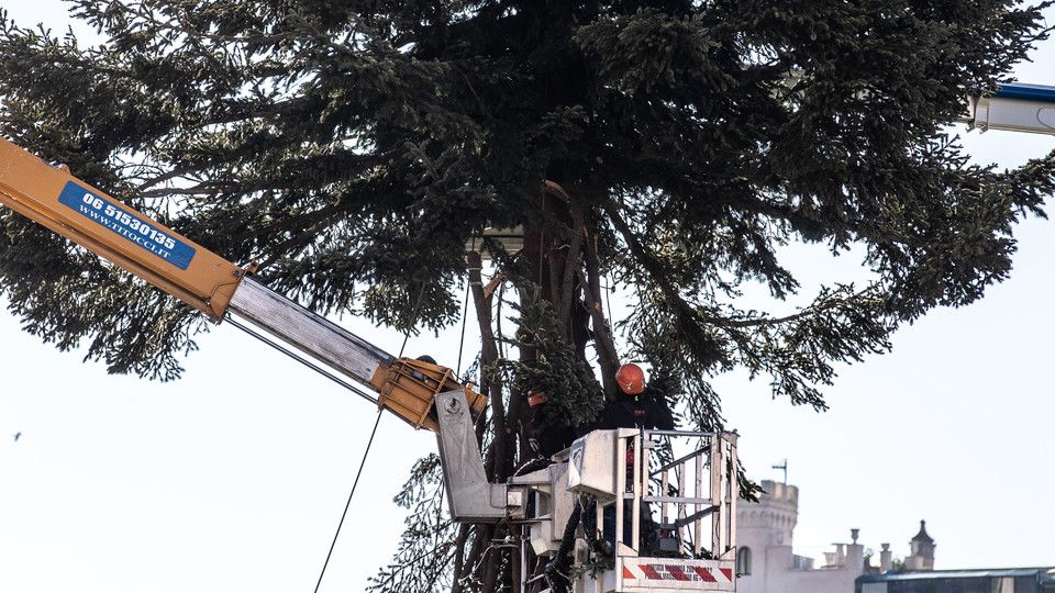 L'albero di Natale di Piazza Venezia&nbsp;