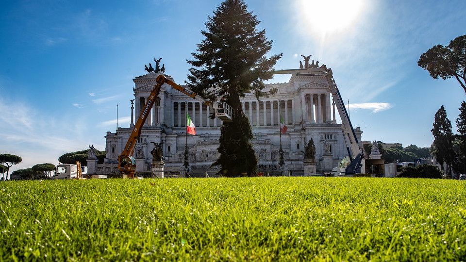 L'albero di Natale di Piazza Venezia&nbsp;