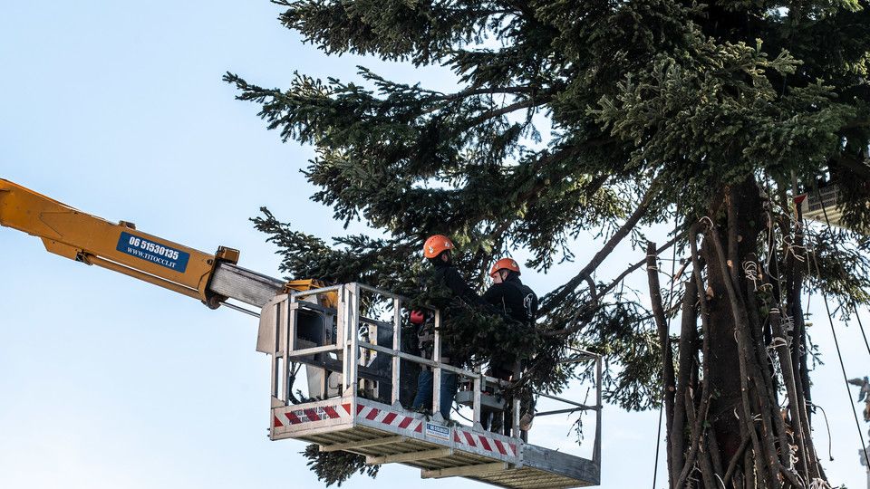 L'albero di Natale di Piazza Venezia&nbsp;