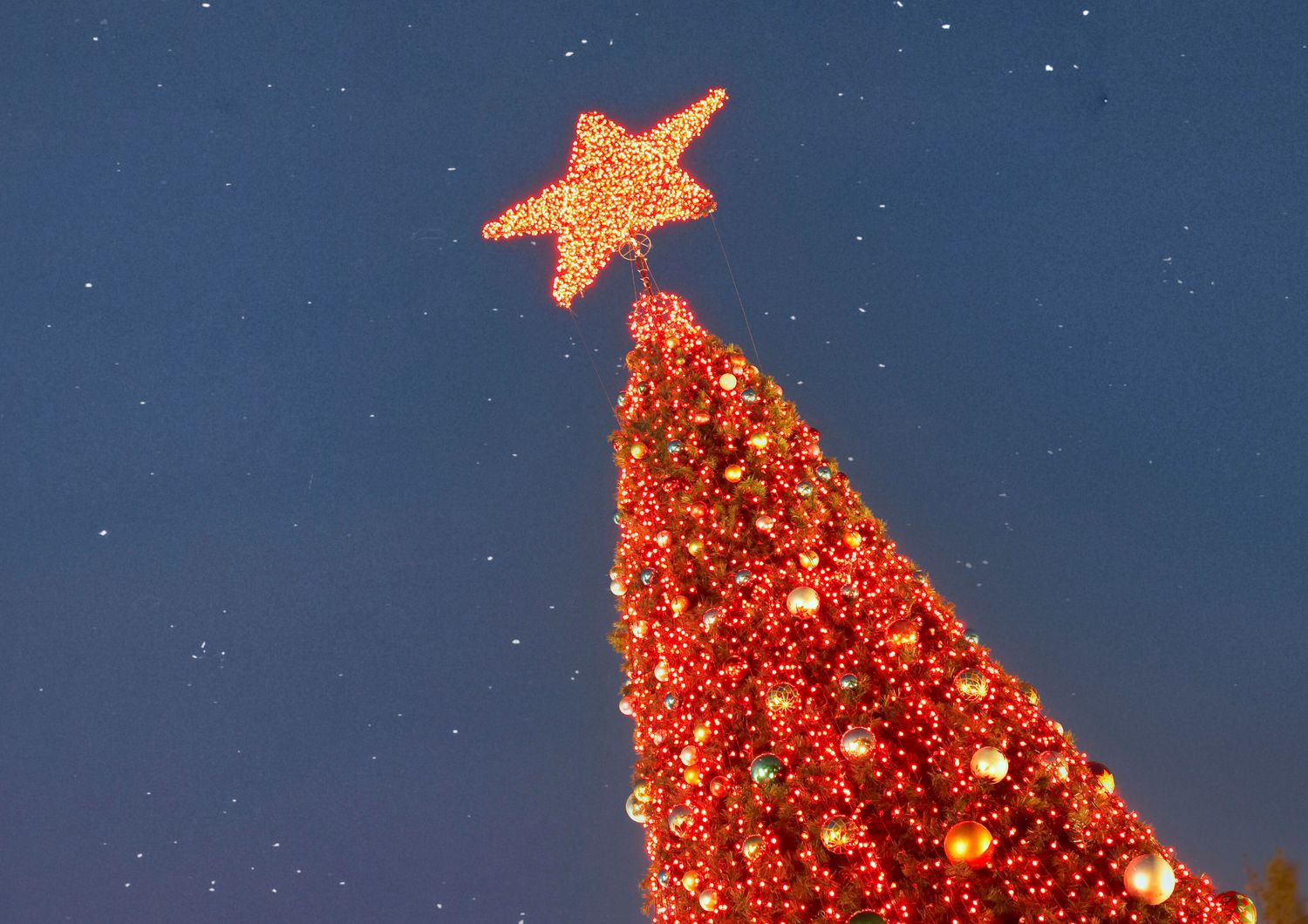 natale gubbio accende albero piu grande mondo