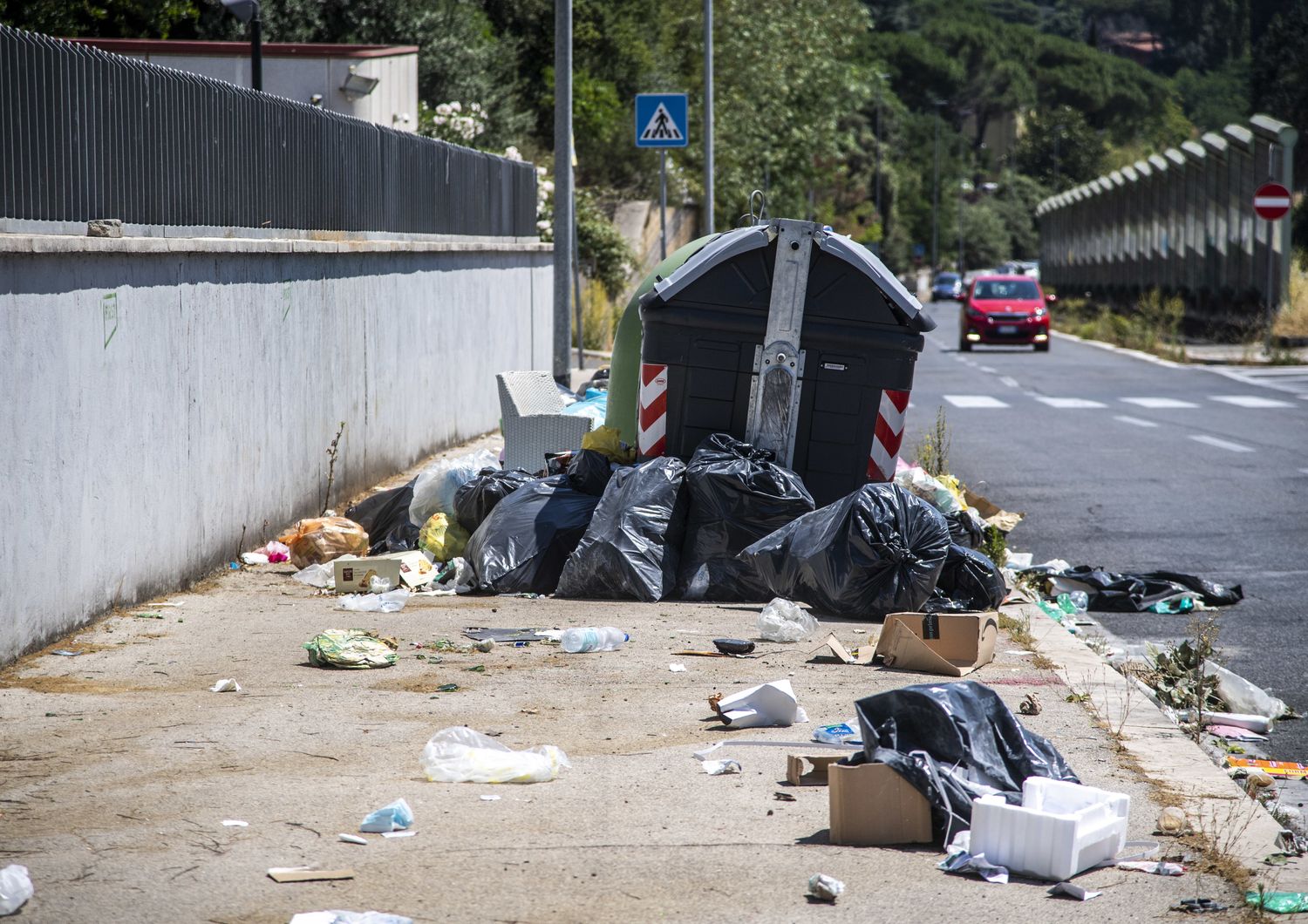 Rifiuti e cibo in strada sono l'habitat naturale per i topi a Roma&nbsp;