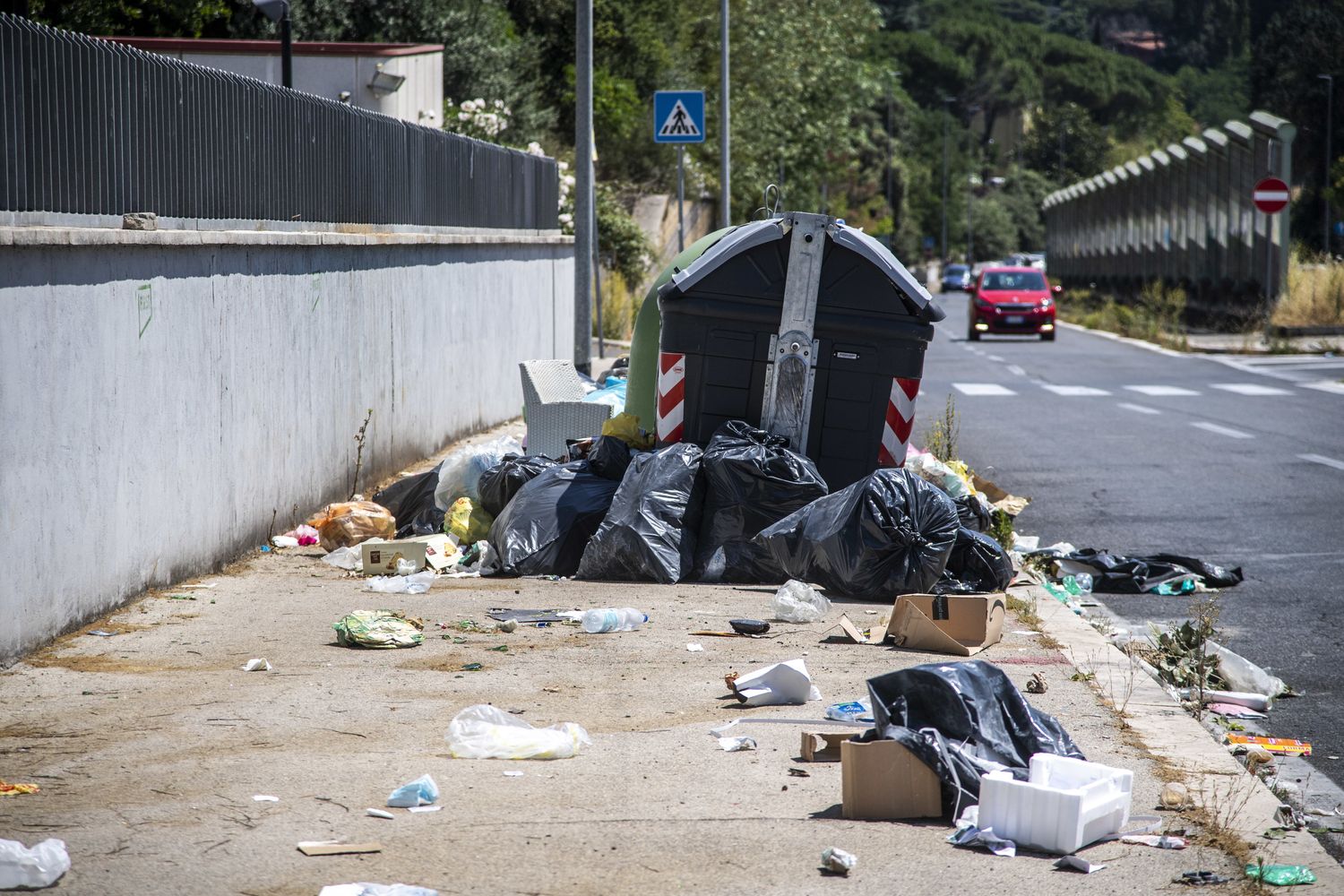 Rifiuti e cibo in strada sono l'habitat naturale per i topi a Roma&nbsp;