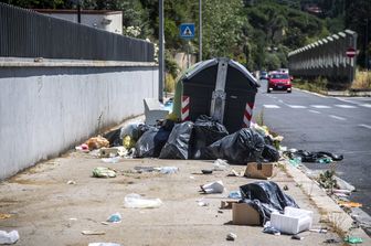 Rifiuti e cibo in strada sono l'habitat naturale per i topi a Roma&nbsp;