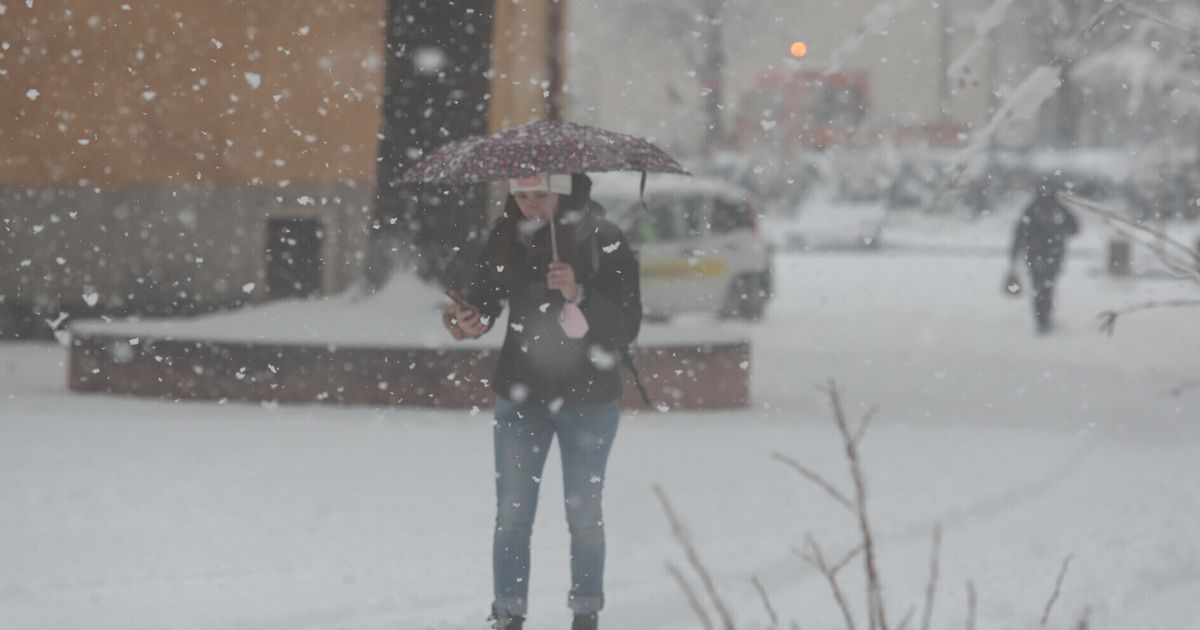 Il grande freddo, in arrivo una corrente artica