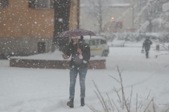 &nbsp;Freddo in Alto Adige&nbsp;