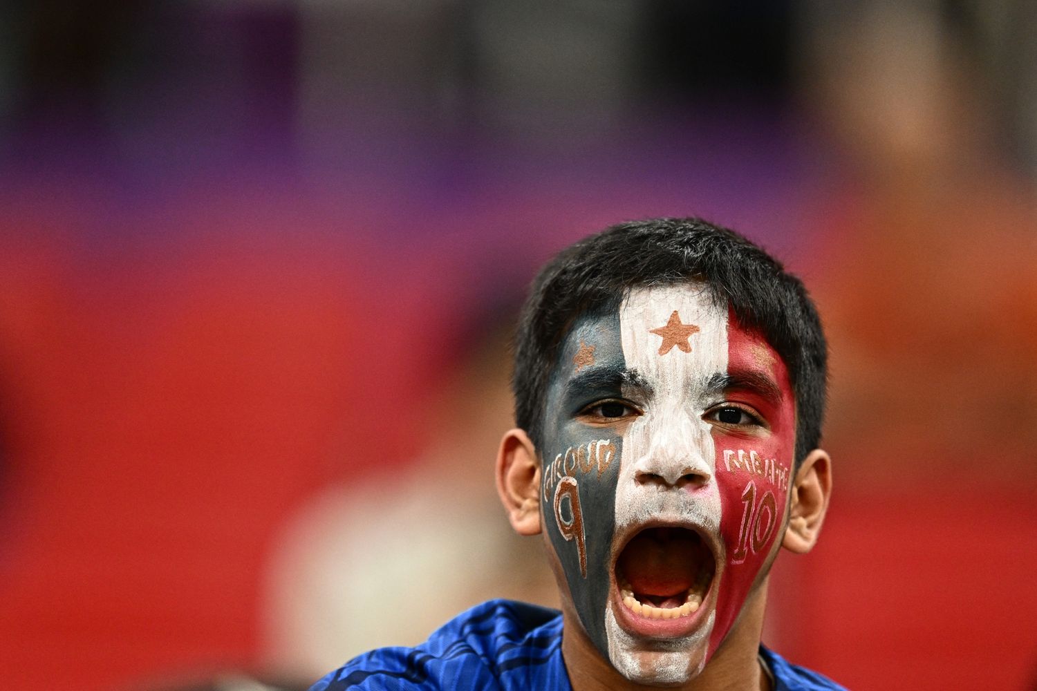 Un tifoso della Francia&nbsp;