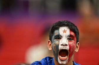 Un tifoso della Francia&nbsp;