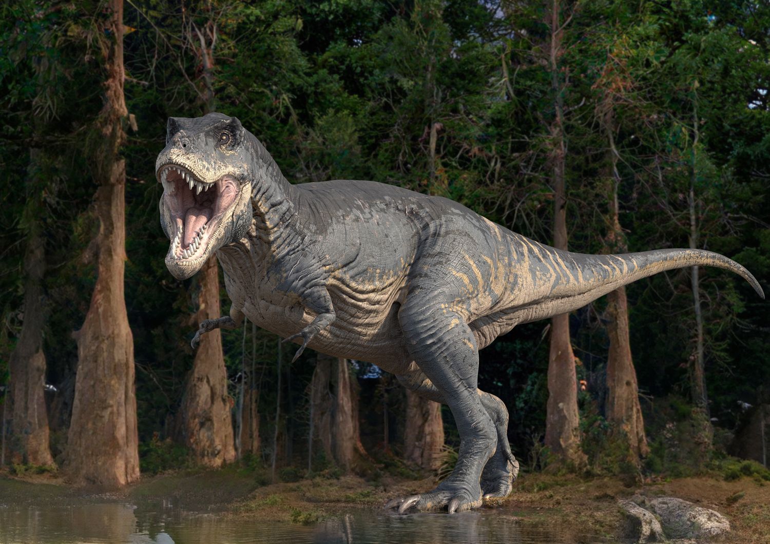 Una ricostruzione di un T-Rex&nbsp;