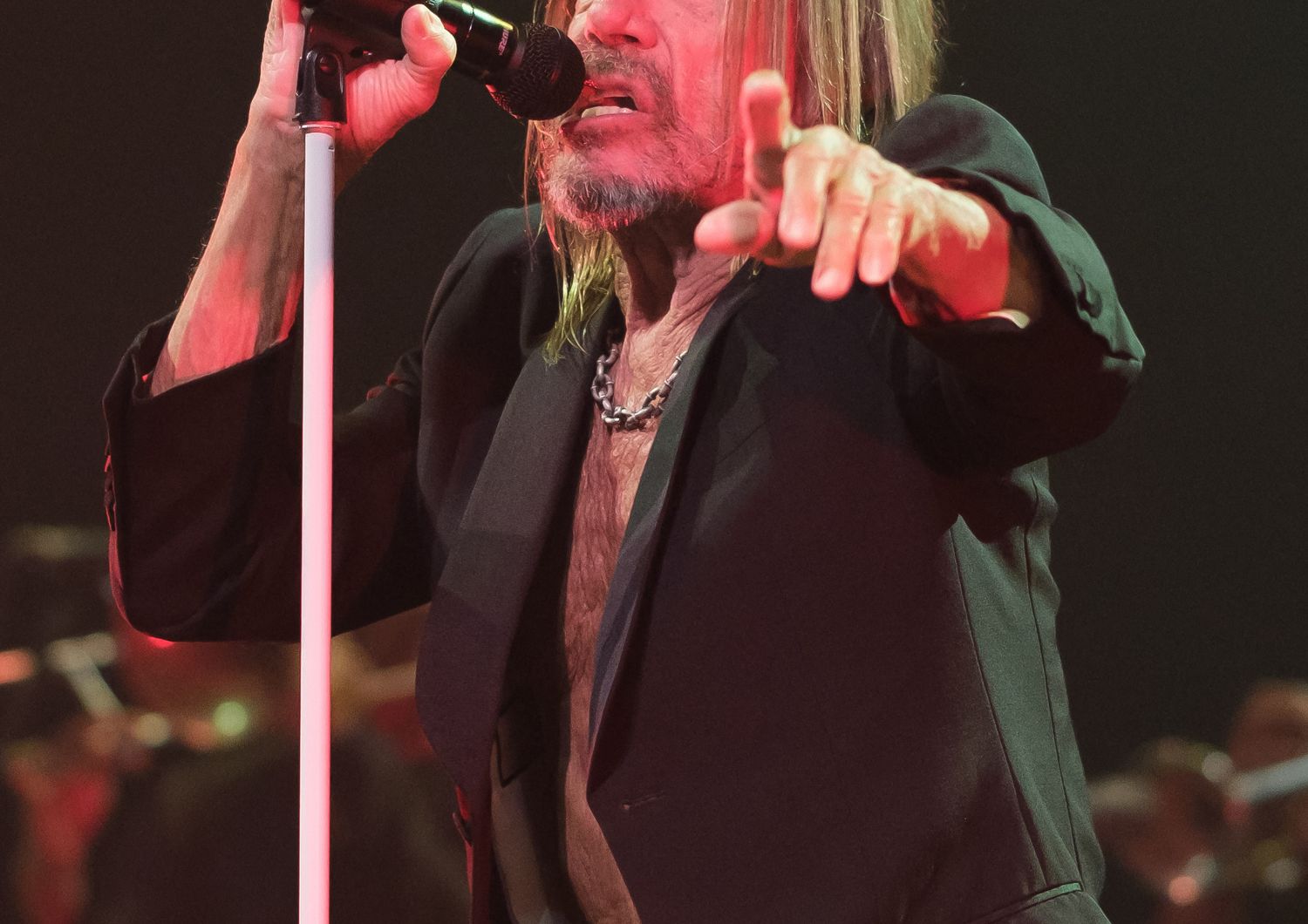 Iggy Pop