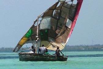 Bem-Vindos scritto da Daniela Zuccolin&nbsp;